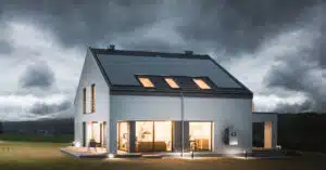 What are Virtual Power Plants and Demand Response Programs