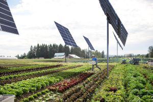 Oregon Clean Power Cooperative - Lettuce Shine Project